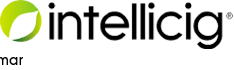 http://www.intellicig-es.com