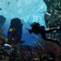 Call of Duty Ghosts buzo