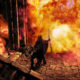 Nuevas imágenes de Dark Souls II en el E3