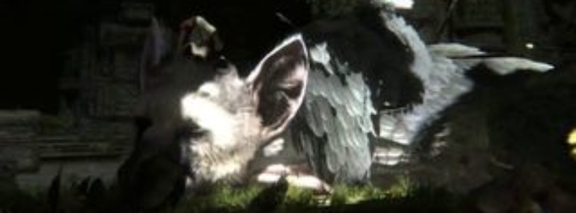 Yoshida The Last Guardian no está en pausa sigue en activo desarrollo