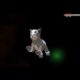 Nuevas imágenes detalles y vídeo de Pokémon X/Y