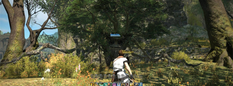 Final Fantasy XIV PS4
