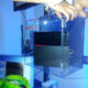 PlayStation 4 linea roja