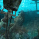 Assassin's Creed 4 para PlayStation 4, impresiones.