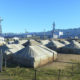 Metal Gear Solid V escenarios