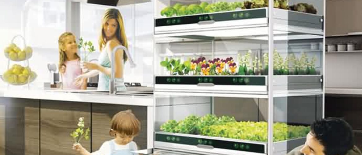 Nano Garden el concepto que te permite hacer crecer vegetales en tu cocina
