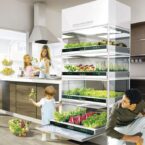 Nano Garden el concepto que te permite hacer crecer vegetales en tu cocina