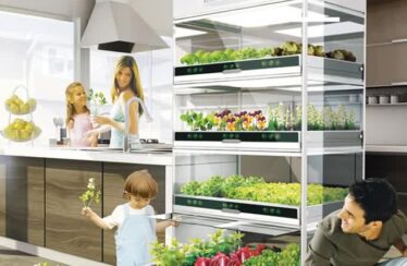 Nano Garden el concepto que te permite hacer crecer vegetales en tu cocina
