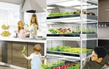 Nano Garden el concepto que te permite hacer crecer vegetales en tu cocina
