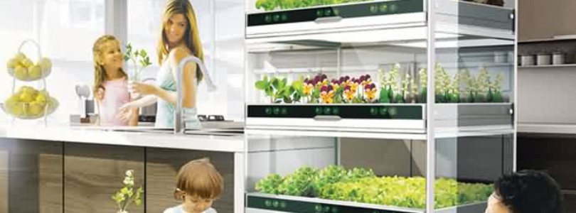 Nano Garden el concepto que te permite hacer crecer vegetales en tu cocina