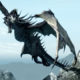 Skyrim Dragonborn
