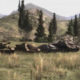 World of Tanks PS4