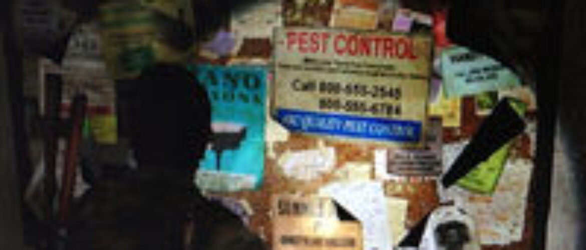Naughty Dog se disculpa por incluir números de líneas calientes reales en The Last of Us