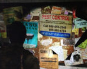 Naughty Dog se disculpa por incluir números de líneas calientes reales en The Last of Us