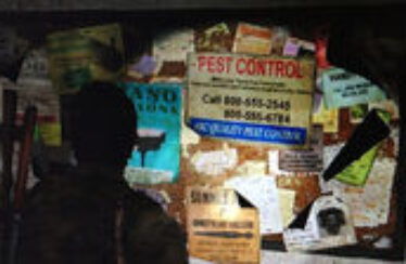 Naughty Dog se disculpa por incluir números de líneas calientes reales en The Last of Us