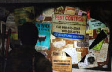 Naughty Dog se disculpa por incluir números de líneas calientes reales en The Last of Us