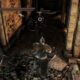 Dark Souls II nos brinda nuevos vídeos de su jugabilidad