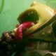 Rayman Legends se retrasó en Wii U por las bajas previsiones de ventas