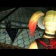 Batman Arkham City Lockdown y Scribblenauts Remix llegan a Android