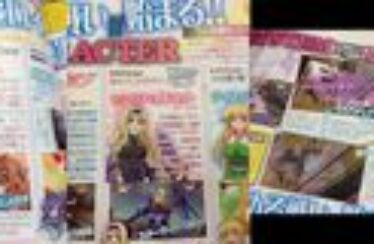 Más chicas confirman su presencia en Super Heroine Chronicle