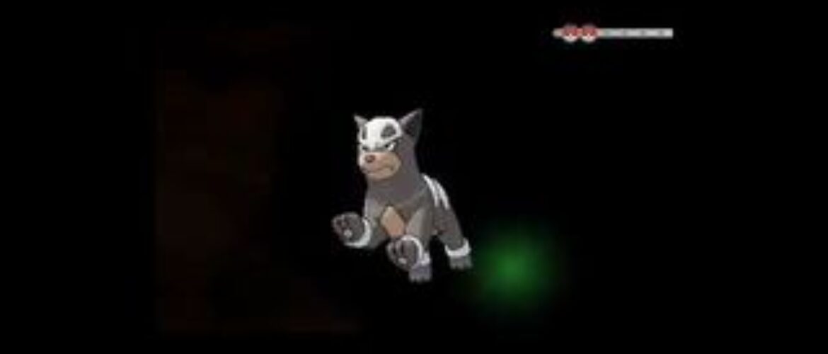Nuevas imágenes detalles y vídeo de Pokémon X/Y