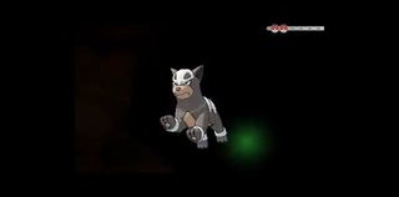 Nuevas imágenes detalles y vídeo de Pokémon X/Y