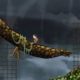 Teslagrad se muestra en su versión de PS3