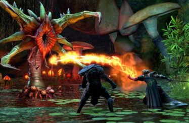 The Elder Scrolls Online Wii U