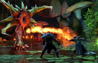 The Elder Scrolls Online Wii U
