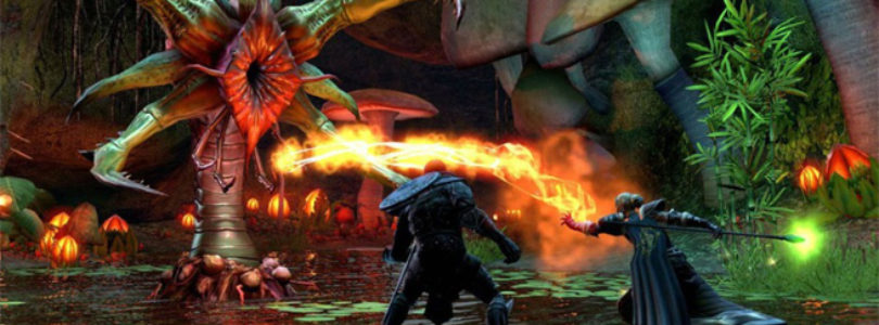 The Elder Scrolls Online Wii U