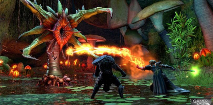 The Elder Scrolls Online Wii U