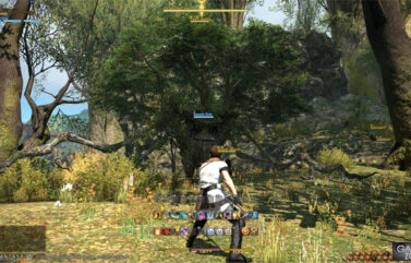 Final Fantasy XIV PS4