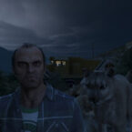 GTA 5 1